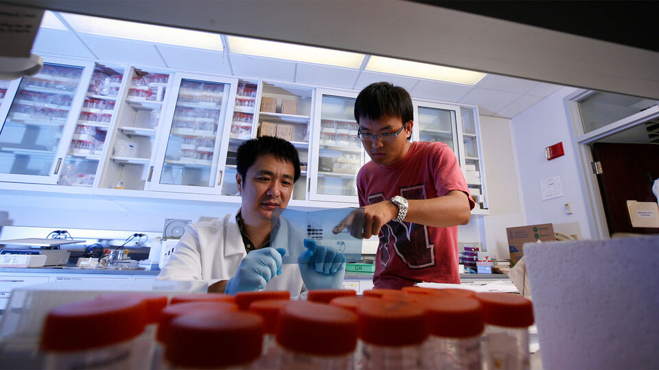 professor with student in lab with test tubes