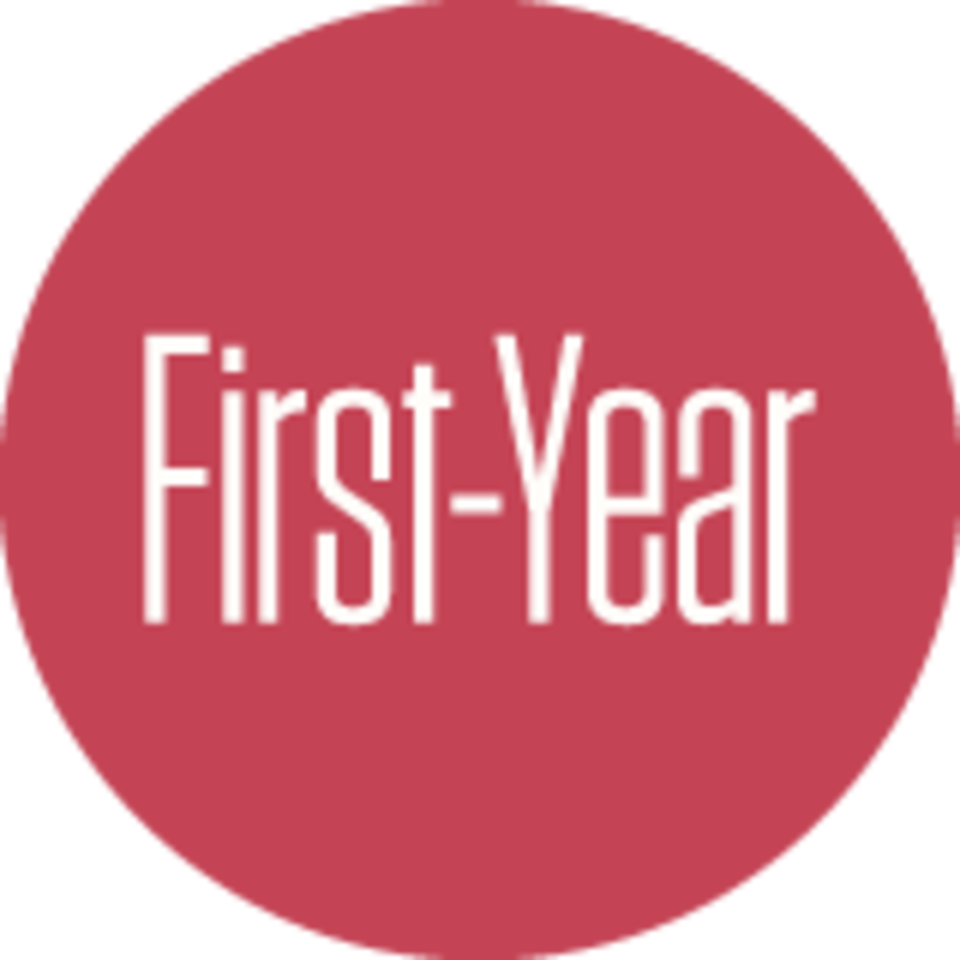 FIRST Projects | Faculty-Led Inquiry into Reflective and Scholarly ...